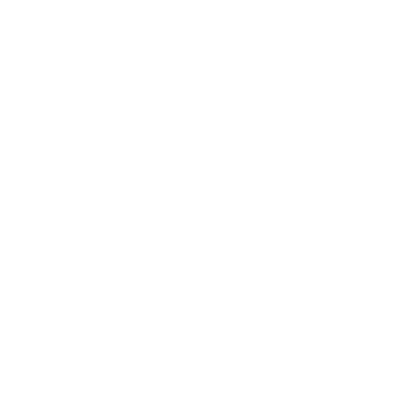 BIG Officer Bear